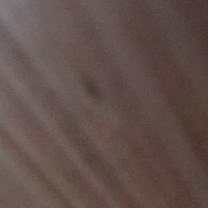 Meet your Posher, Jaelyn